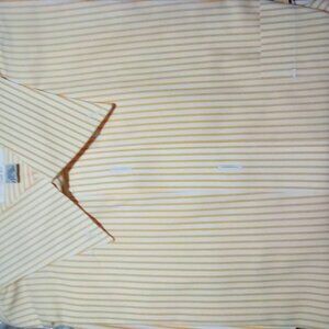 Paul Fredrick Dressed Shirt